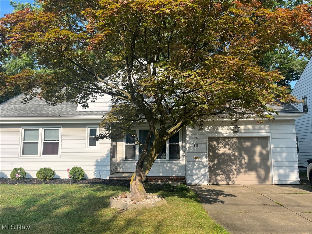 888 Richmond Road Lyndhurst OH 44124