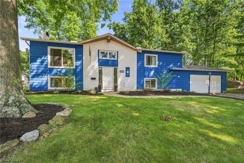 825 Valley Drive Amherst OH 44001