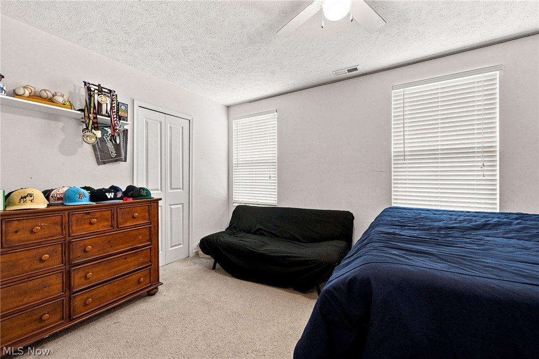 220 Emily Drive Madison OH 44057