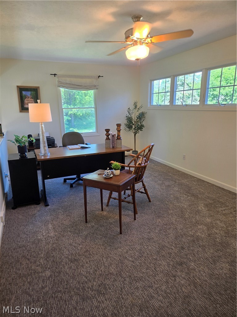 14736 Shannon Court Burton OH 44021