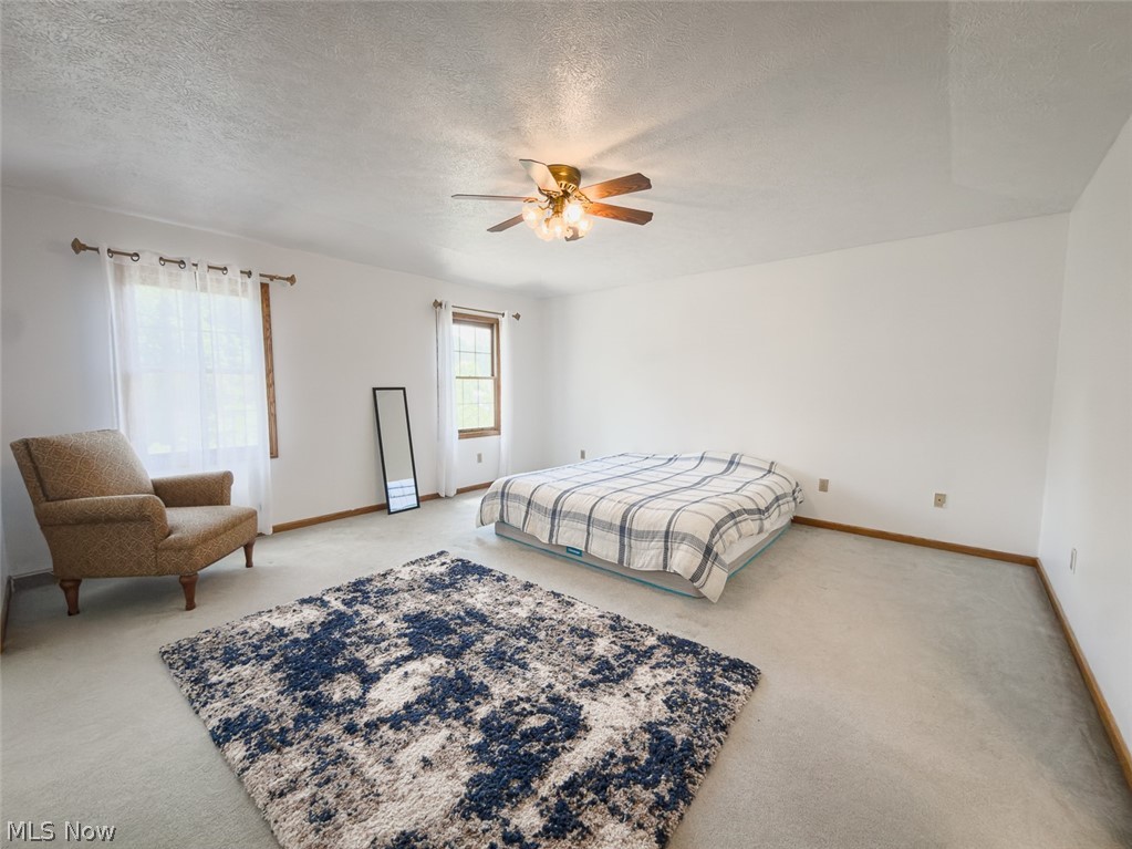 2919 Pine Trails Circle Hudson OH 44236