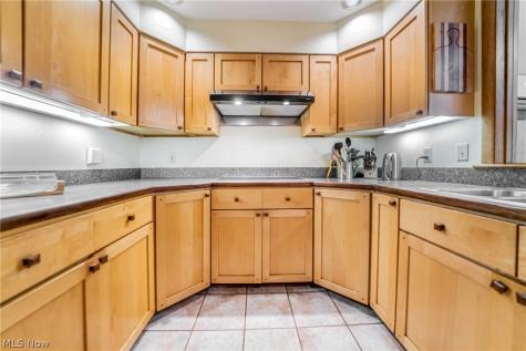 242 Springdale Lane Moreland Hills OH 44022