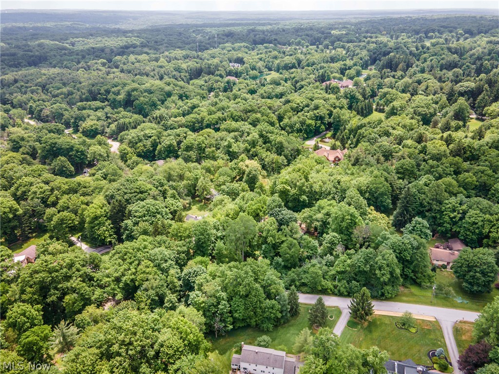 242 Springdale Lane Moreland Hills OH 44022