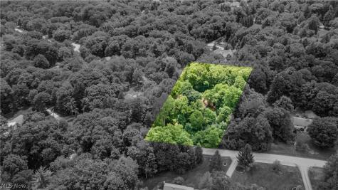 242 Springdale Lane Moreland Hills OH 44022