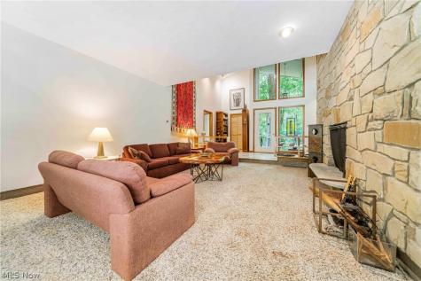 242 Springdale Lane Moreland Hills OH 44022