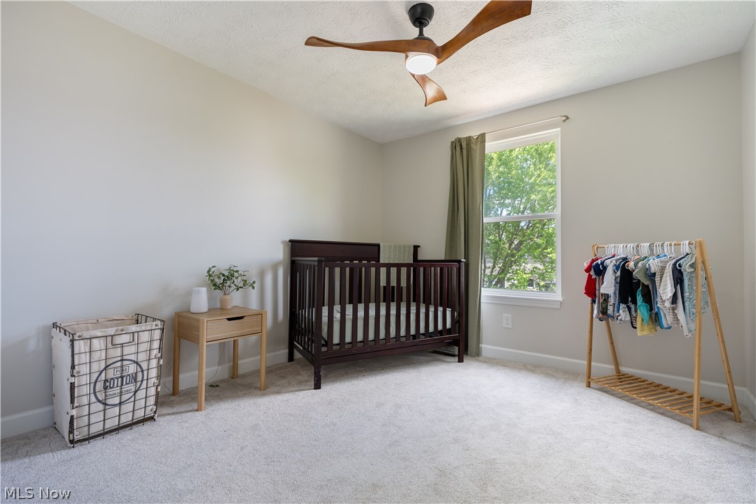 577 Colchester Court Akron OH 44319