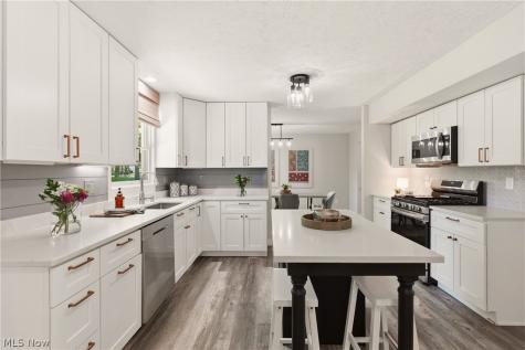 6813 Palmerston Drive Mentor OH 44060