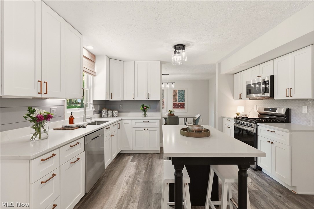 6813 Palmerston Drive Mentor OH 44060
