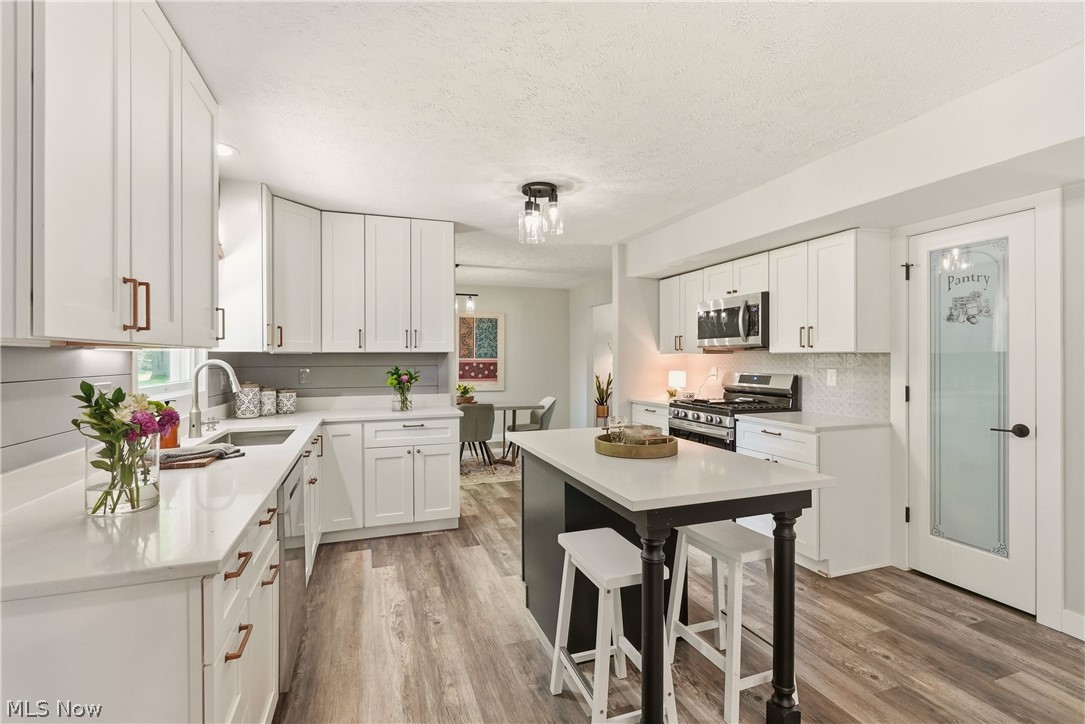 6813 Palmerston Drive Mentor OH 44060