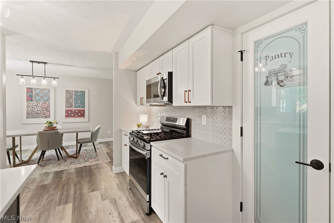 6813 Palmerston Drive Mentor OH 44060