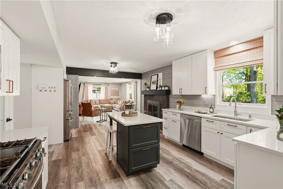6813 Palmerston Drive Mentor OH 44060