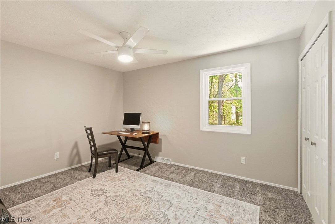 6813 Palmerston Drive Mentor OH 44060