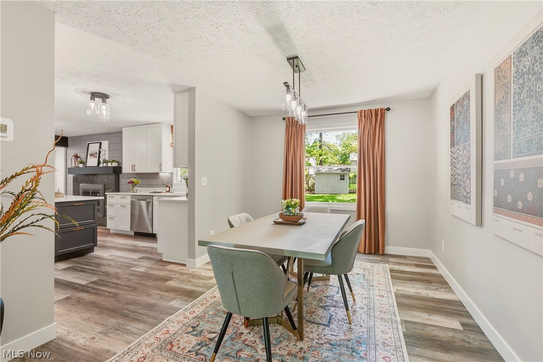 6813 Palmerston Drive Mentor OH 44060
