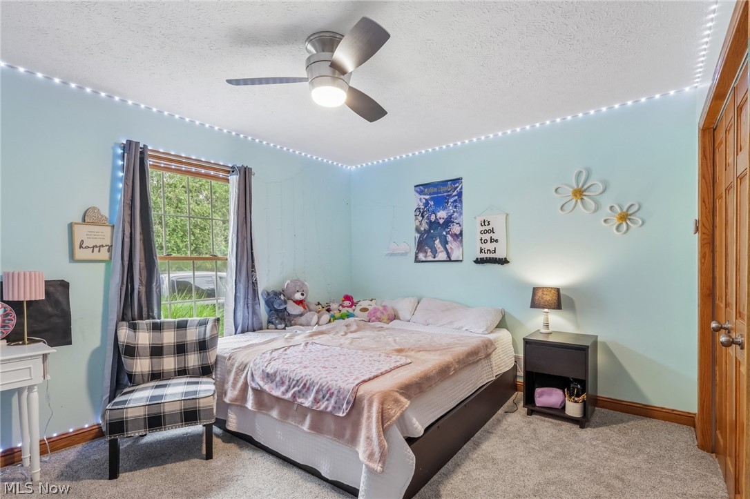 217 Indian Park Drive Tallmadge OH 44278