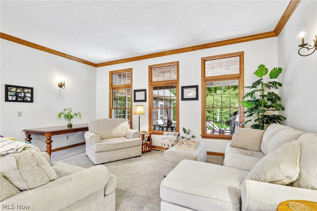 217 Indian Park Drive Tallmadge OH 44278