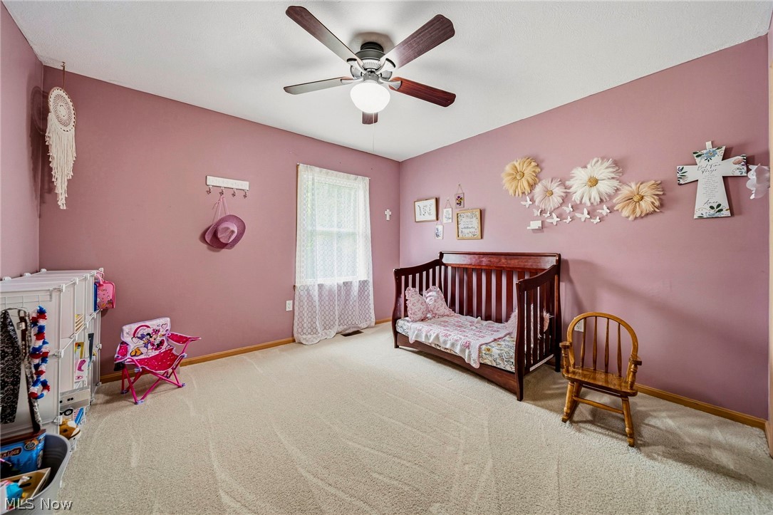 1796 Van Pelt Road Geneva OH 44041