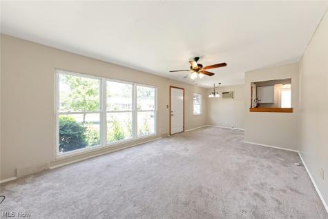 13819 Elsetta Avenue Cleveland OH 44135