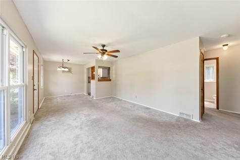 13819 Elsetta Avenue Cleveland OH 44135