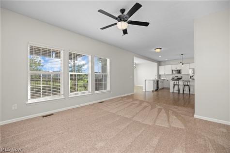 6715 High Perch Drive North Ridgeville OH 44039