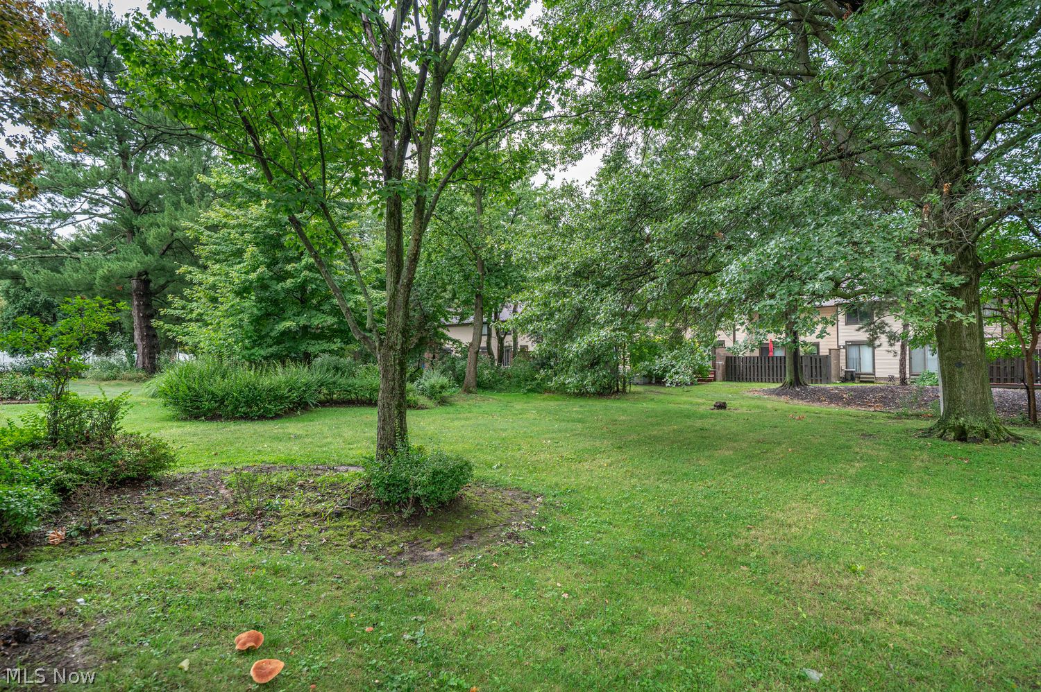 492 Jeannette Drive Richmond Heights OH 44143
