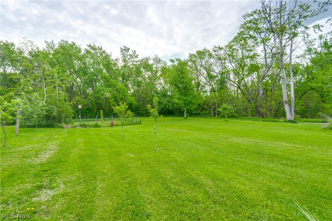 1682 S County Line Road Geneva OH 44041