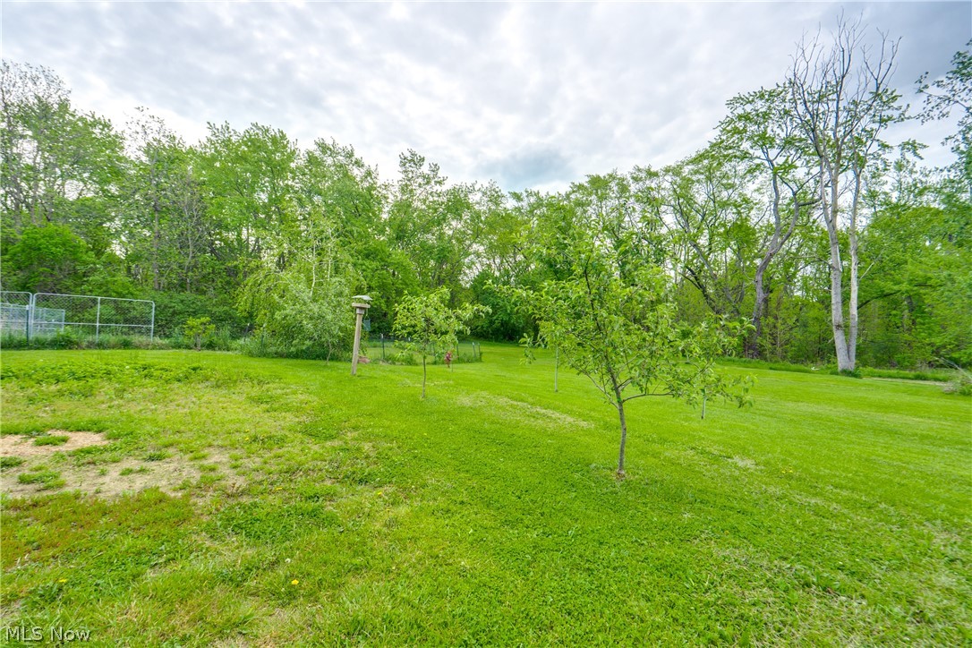 1682 S County Line Road Geneva OH 44041