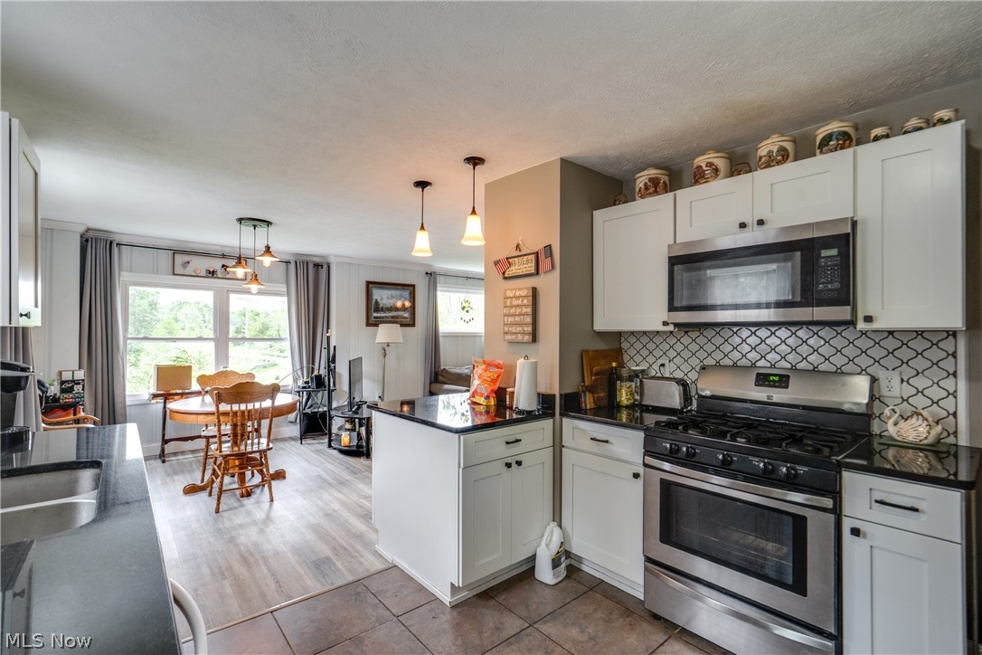 1682 S County Line Road Geneva OH 44041