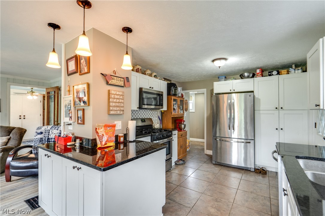 1682 S County Line Road Geneva OH 44041