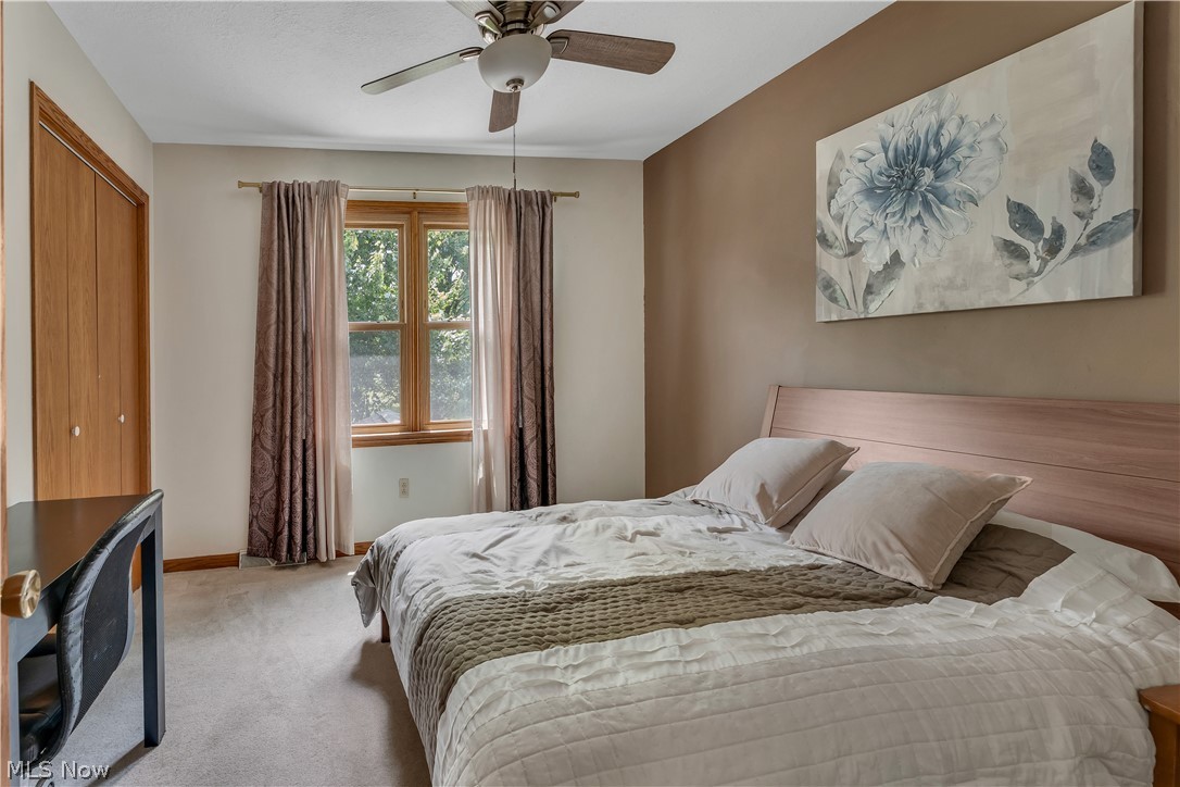 8241 Akron Canfield Road Canfield OH 44406