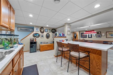 6670 Beechwood Drive Independence OH 44131