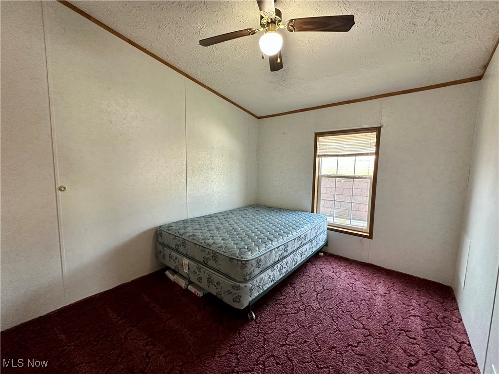 87 S Byron Drive Wintersville OH 43953