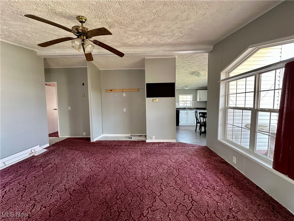 87 S Byron Drive Wintersville OH 43953