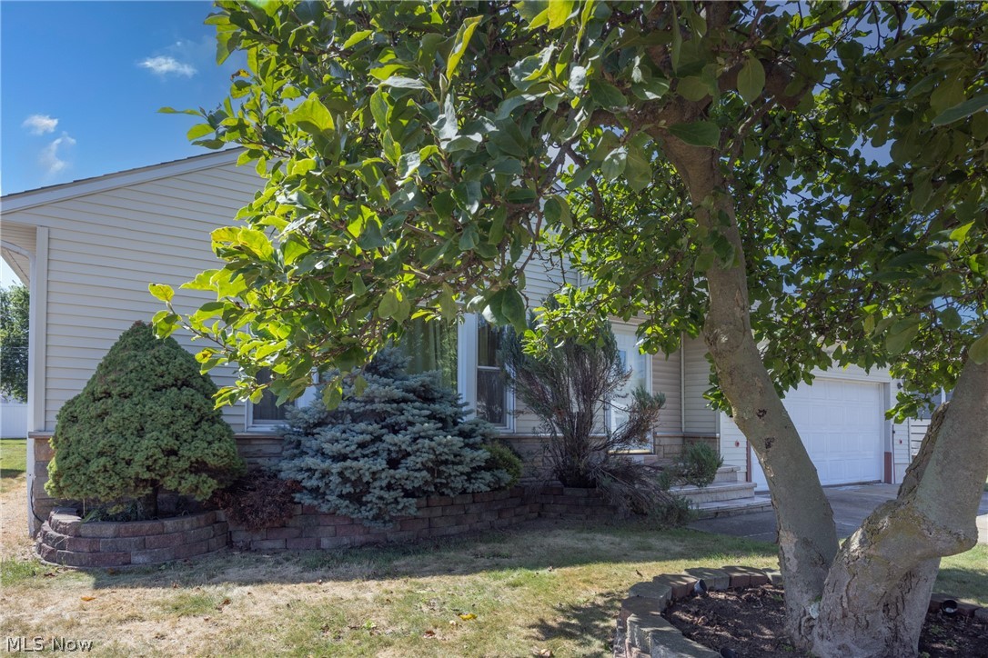 1668 Chelmsford Mayfield Heights OH 44124