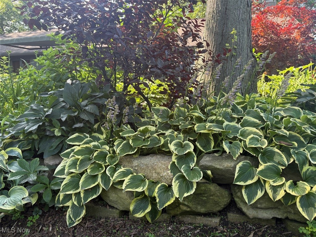 8863 Riverwood Drive North Ridgeville OH 44039