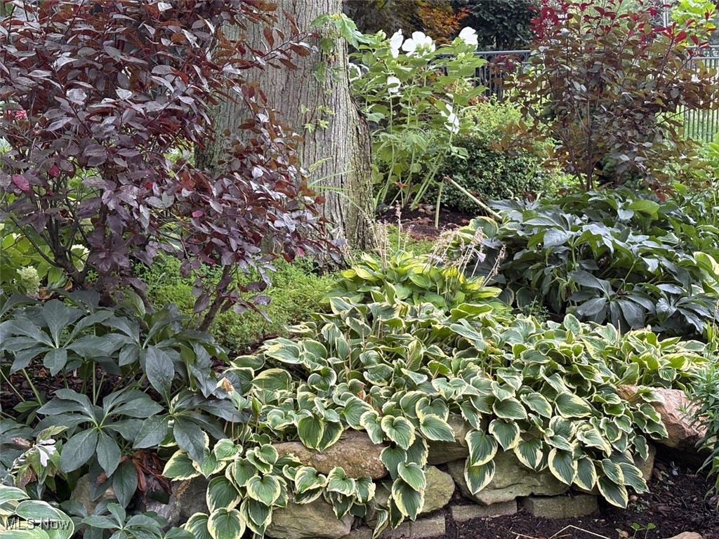 8863 Riverwood Drive North Ridgeville OH 44039