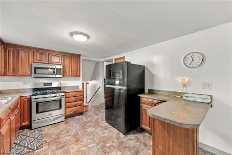 1598 Luanna Drive Eastlake OH 44095