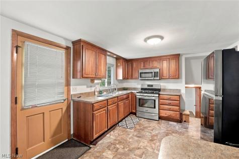 1598 Luanna Drive Eastlake OH 44095