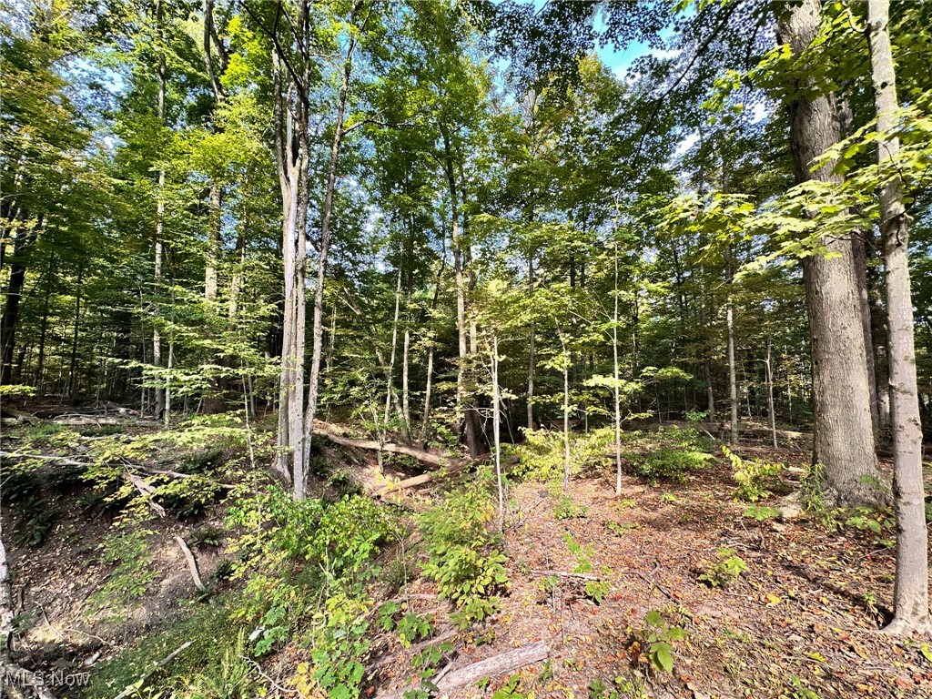8145 Chagrin Road Chagrin Falls OH 44023