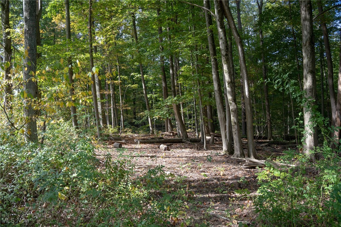 8145 Chagrin Road Chagrin Falls OH 44023