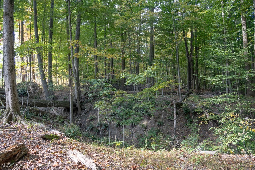8145 Chagrin Road Chagrin Falls OH 44023
