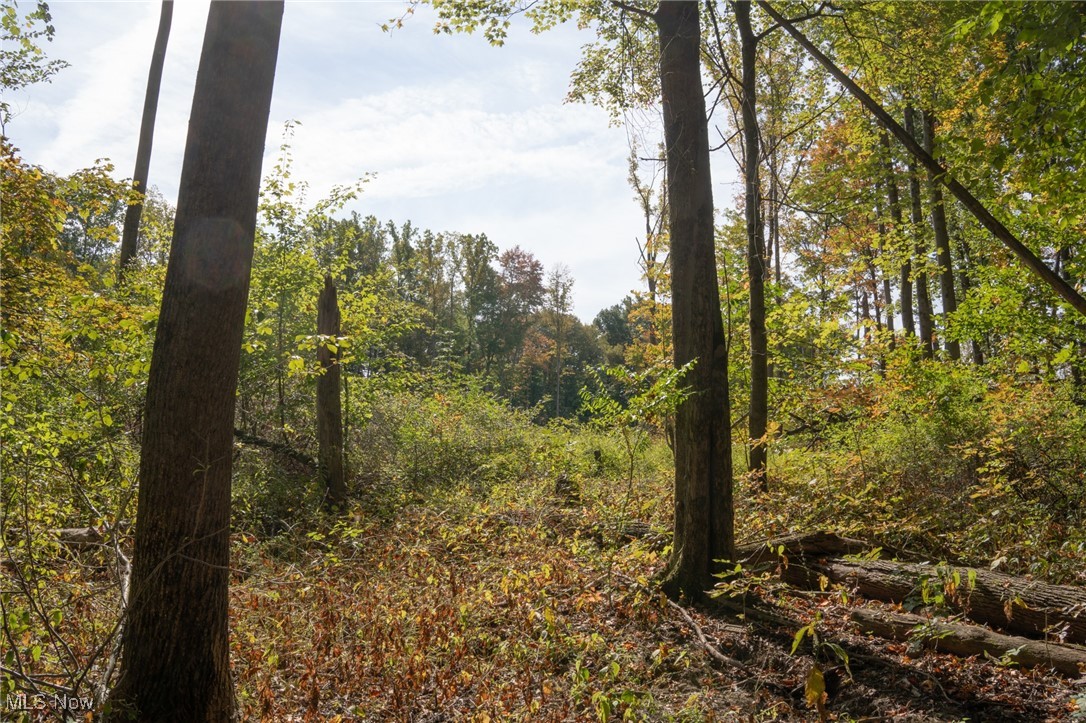 8145 Chagrin Road Chagrin Falls OH 44023