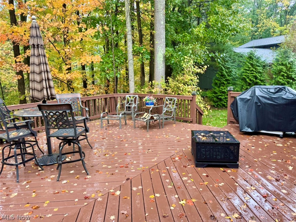 8630 Hollis Lane Brecksville OH 44141