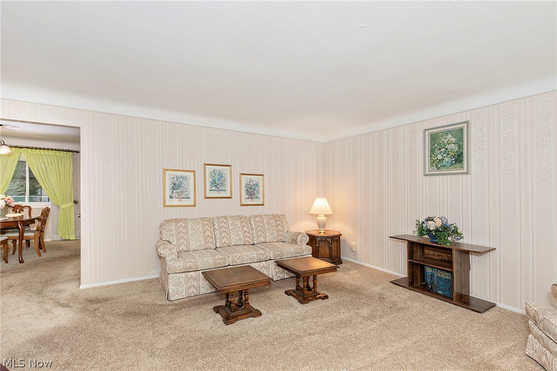 1272 Bonnie Lane Mayfield Heights OH 44124