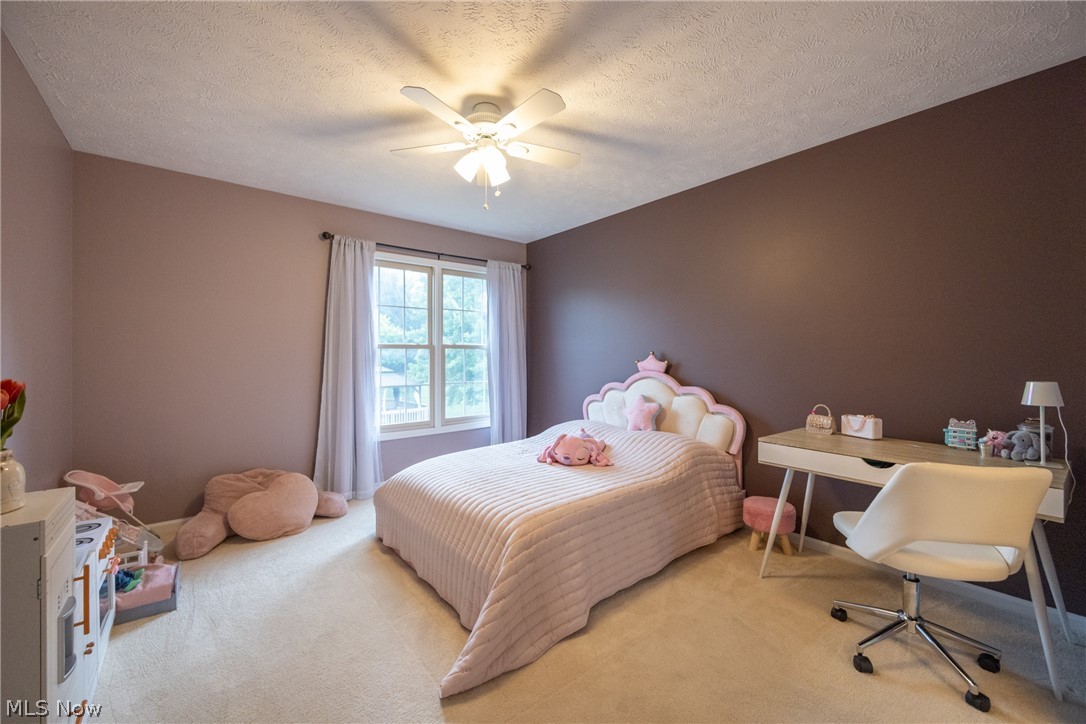 10082 Timothy Lane Twinsburg OH 44087