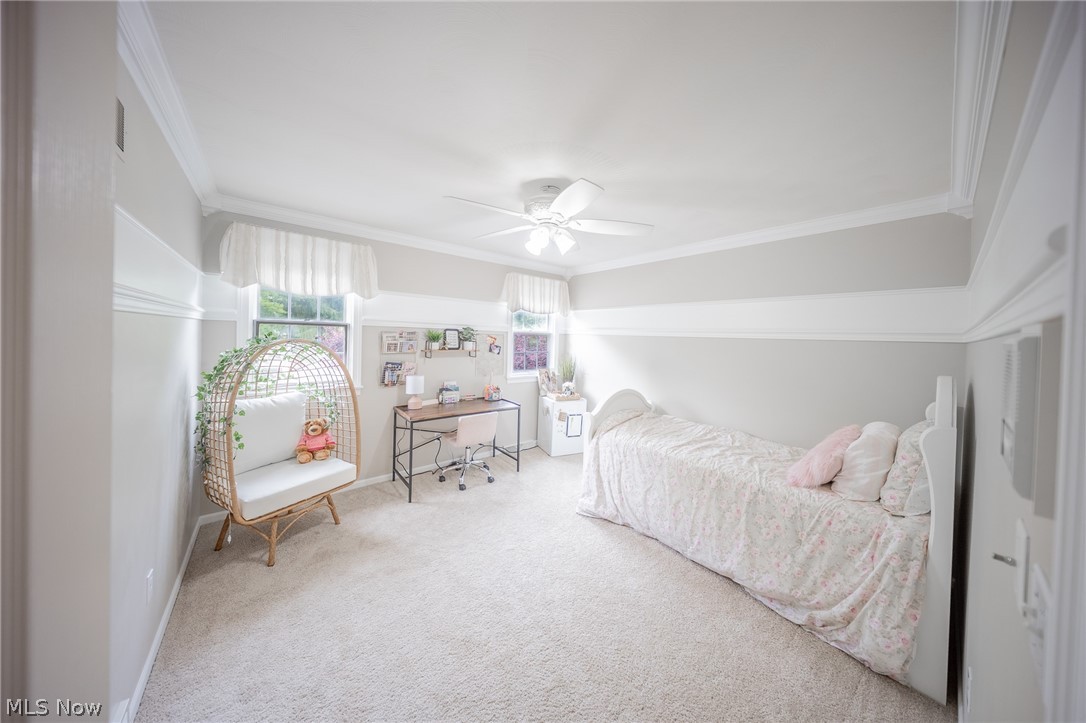 74 Oak Tree Canfield OH 44406