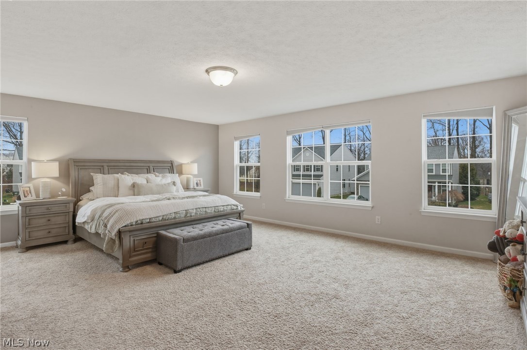 32895 Rebecca Lane Avon Lake OH 44012