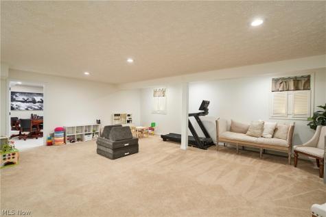 925 Alder Run Way Akron OH 44333