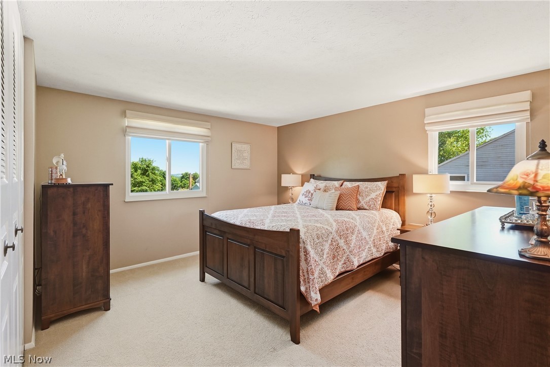 1142 Waldo Way Twinsburg OH 44087