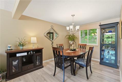 1142 Waldo Way Twinsburg OH 44087