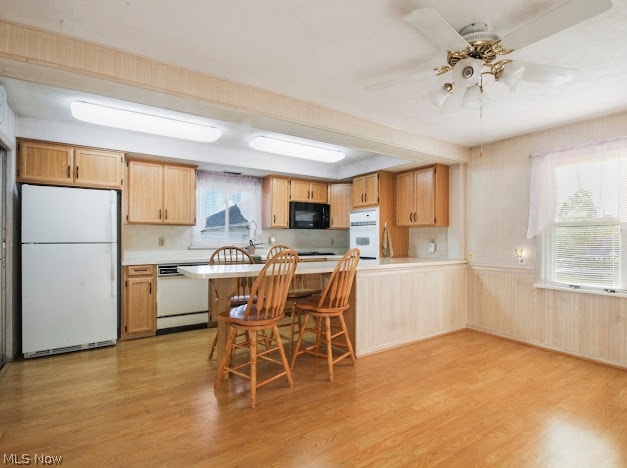 244 Harvey Street Struthers OH 44471